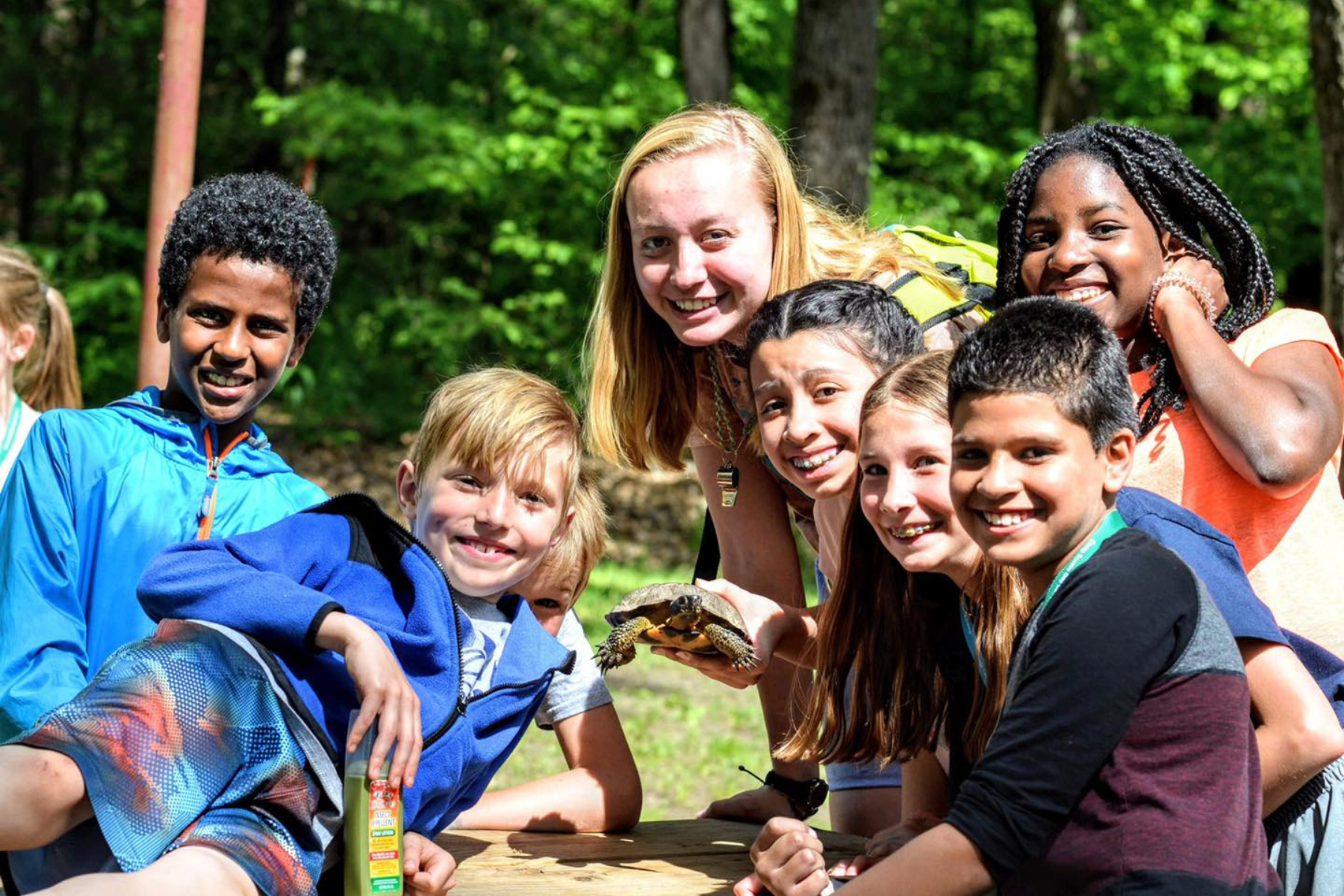 A group of kids gather around a counselor holding a turtle