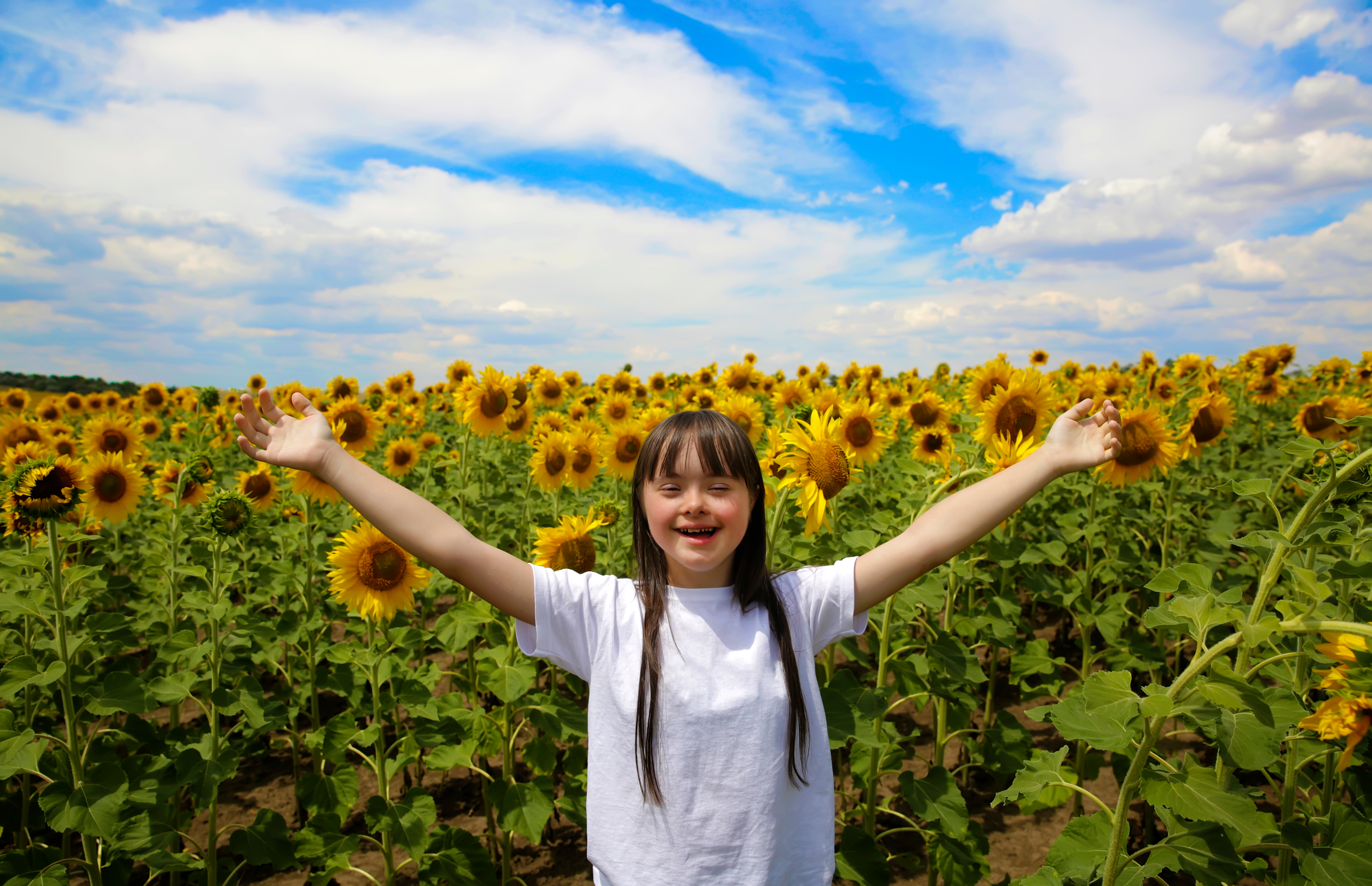 A child stands with arms up in front of sunflowers