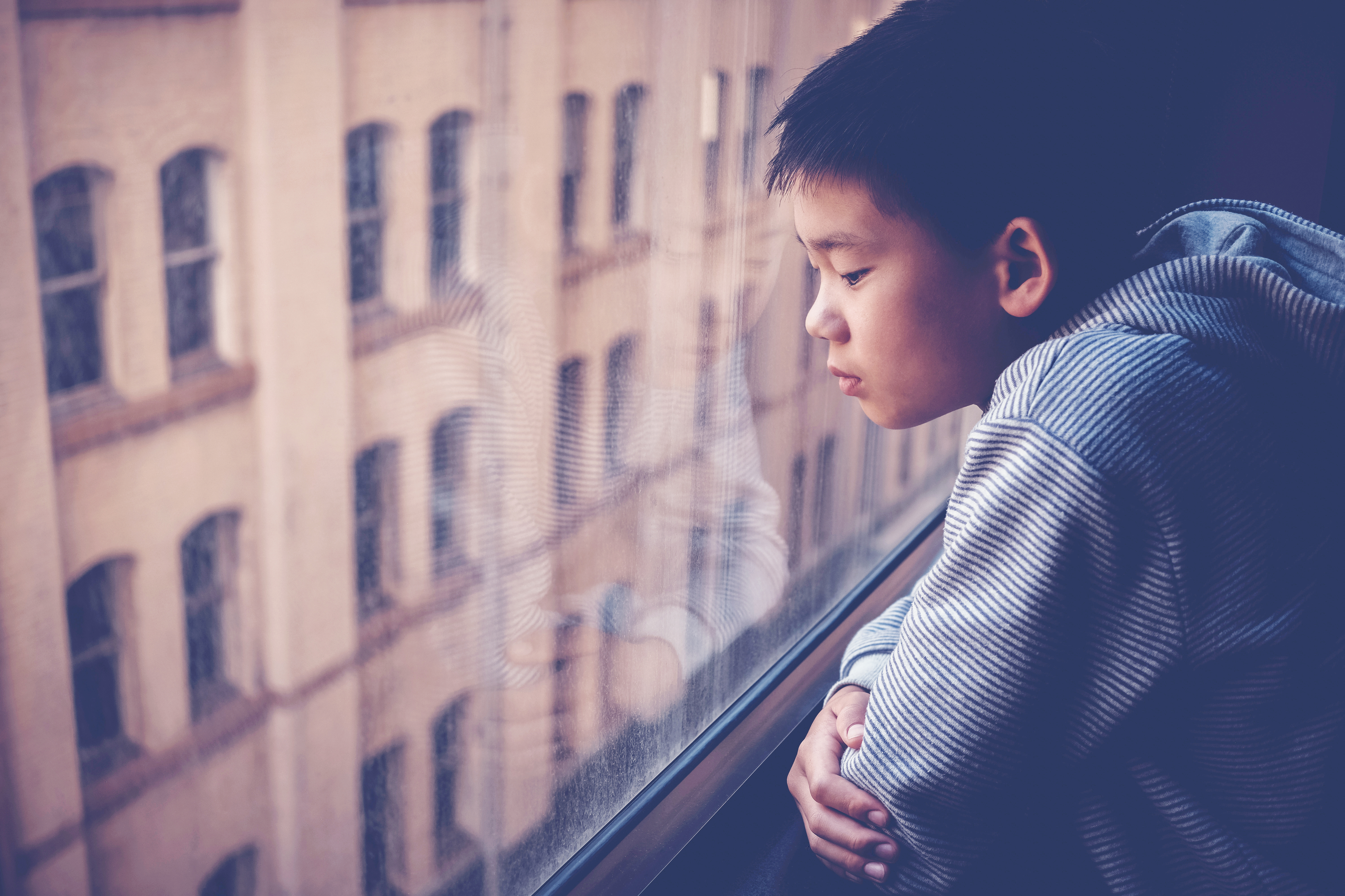 A young boy sits staring out of a window